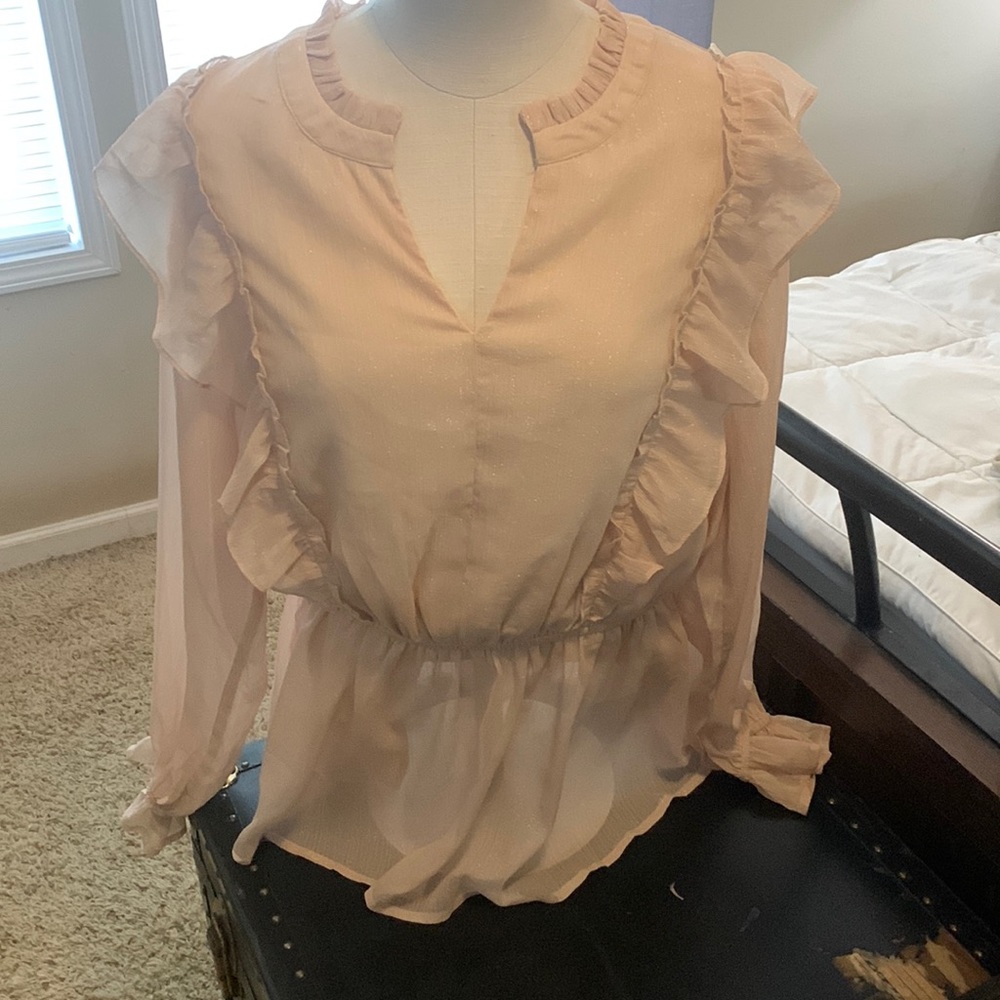 Savannah Jane beautiful sheer sleeves with a sewn in layer through the chest.